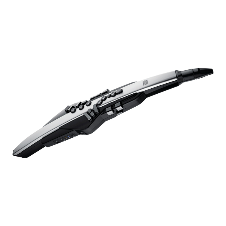 Roland Aerophone Pro User manual