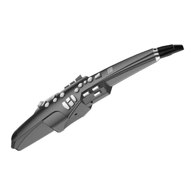 Roland Aerophone AE-10 User manual