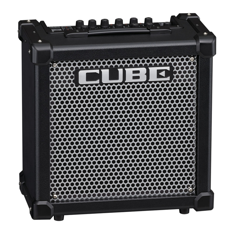 Roland CUBE-20GX User manual