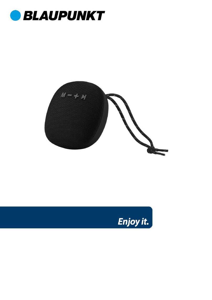 Blaupunkt BLP3120-003 User manual