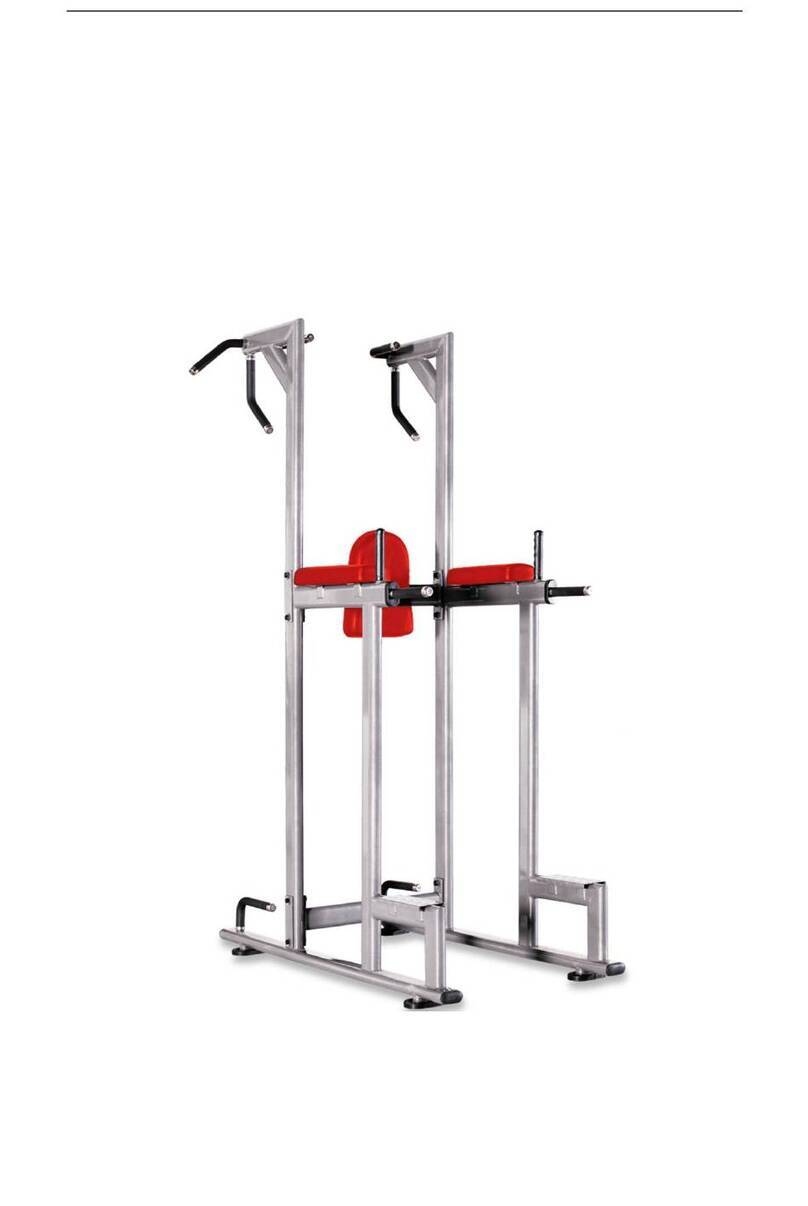 BRONZE GYM H-027 user manual