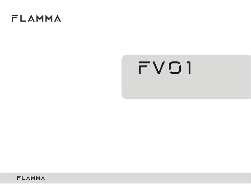 FLAMMA FV01 owner's manual