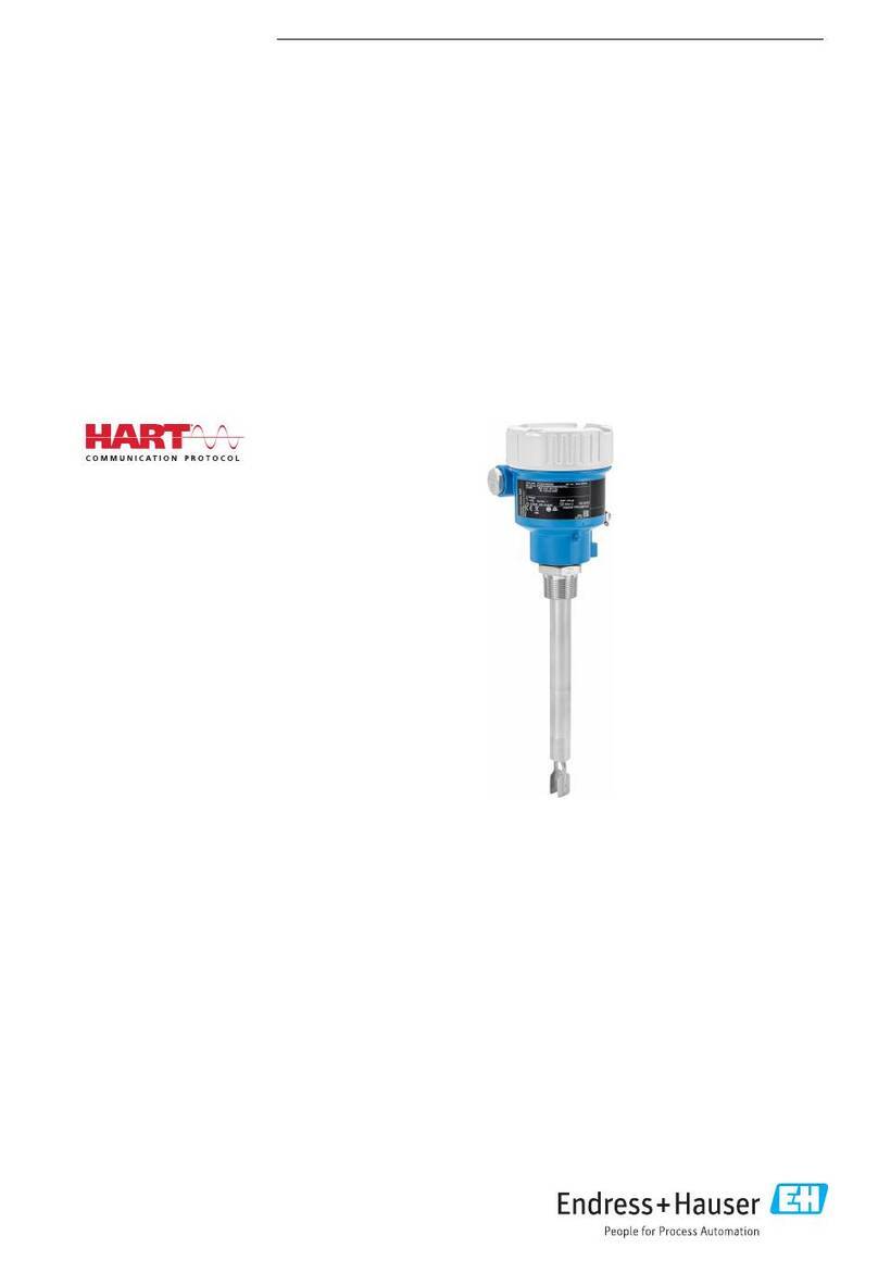 Endress+Hauser Liquiphant FTL51B Technical specifications