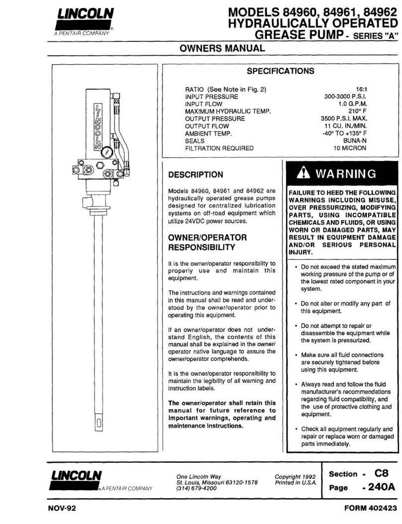 Pentair LINCOLN 84960 owner's manual