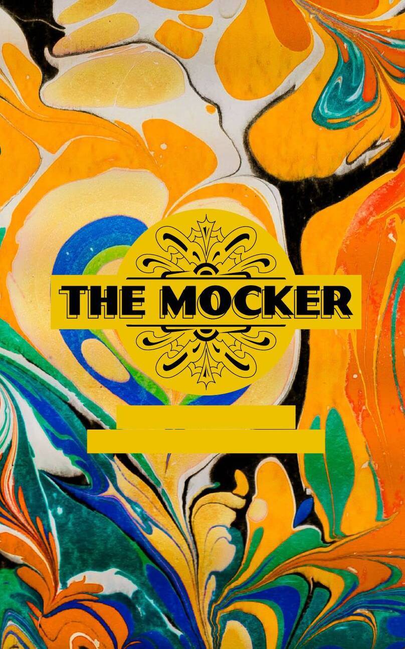 Aclam Guitars THE MOCKER User manual  & Safety instructions