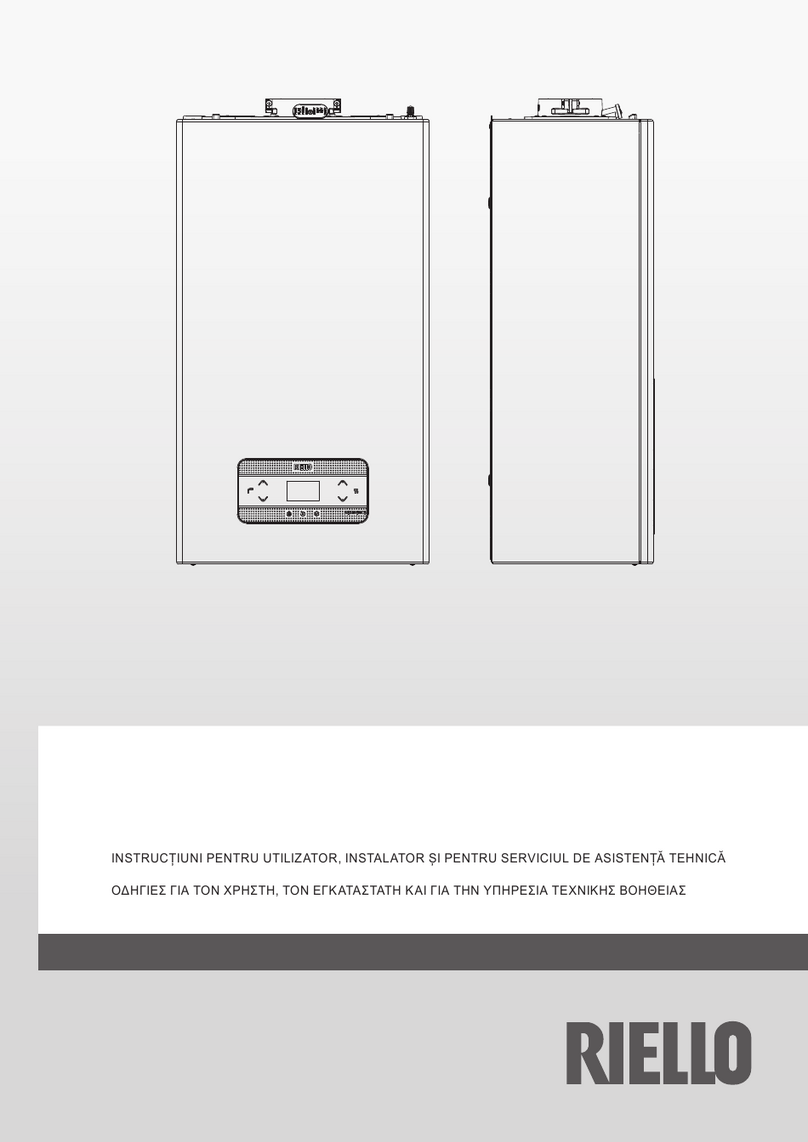 Riello RESIDENCE HM Series Instruction Manual