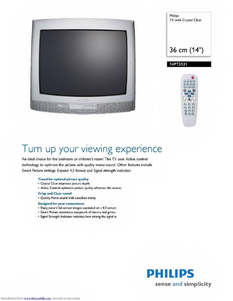 Philips 14pt3131 User manual