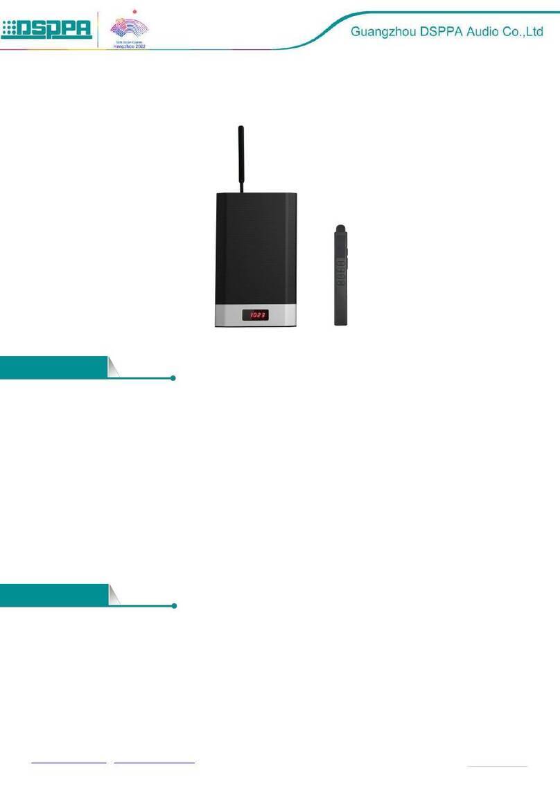DSPPA MAG6364M User manual