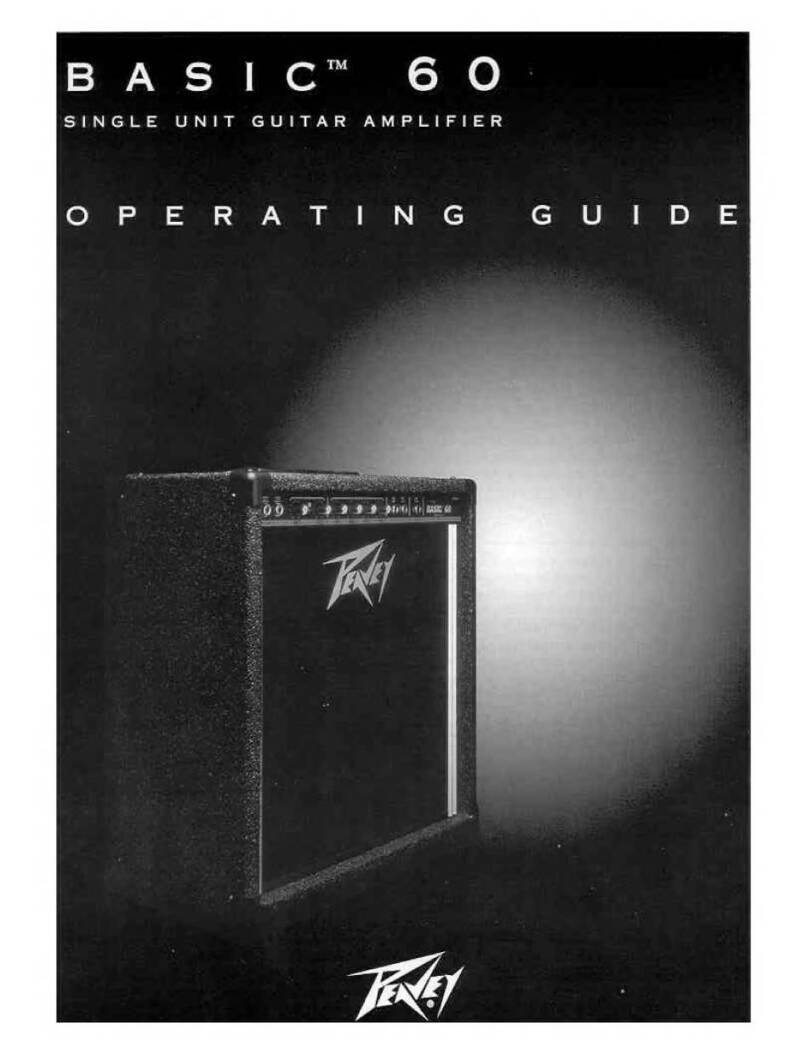 Peavey Basic 60 User manual