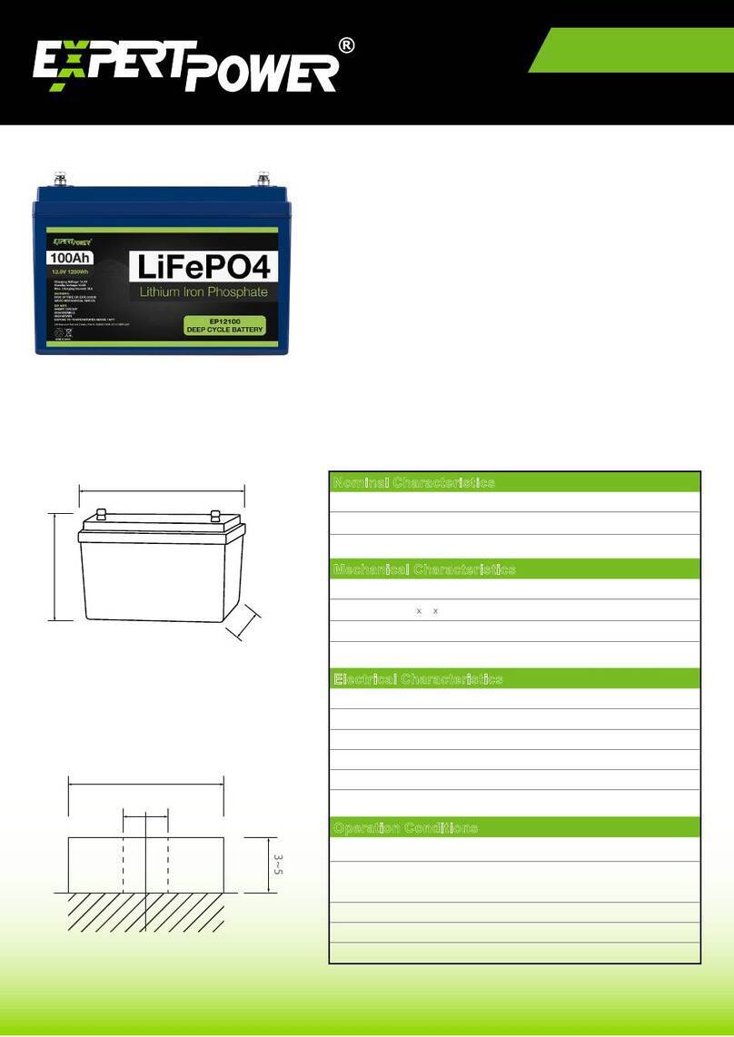 Expert Power EP12100 manual
