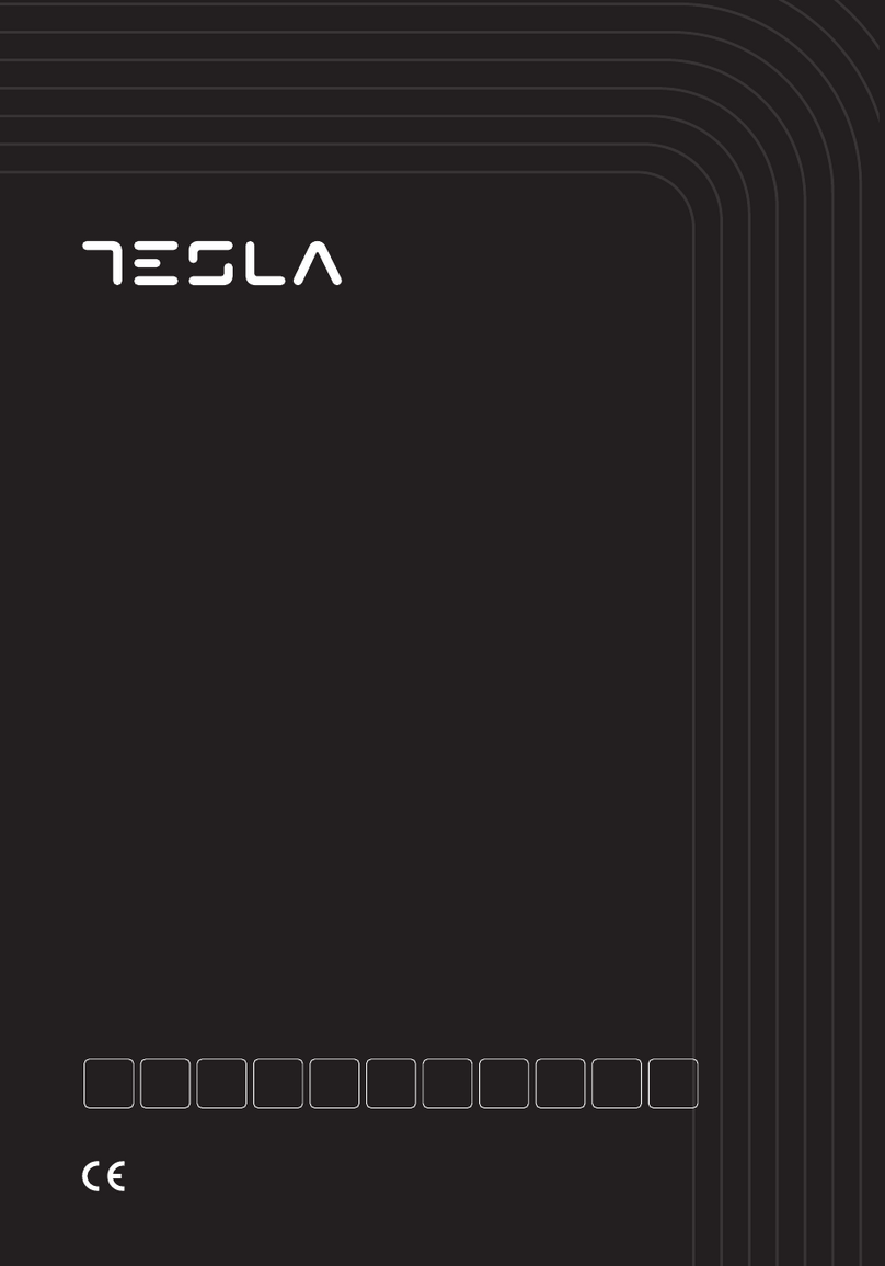 Tesla CS5400SW User manual