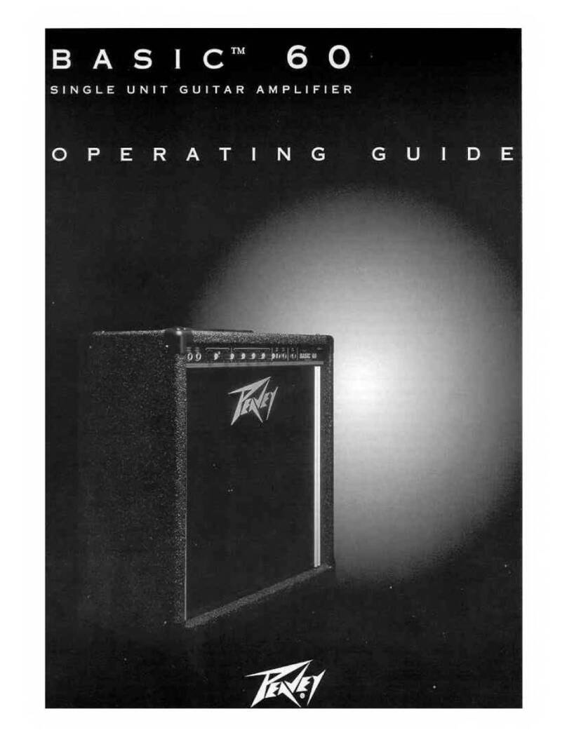 Peavey Basic 60 User manual