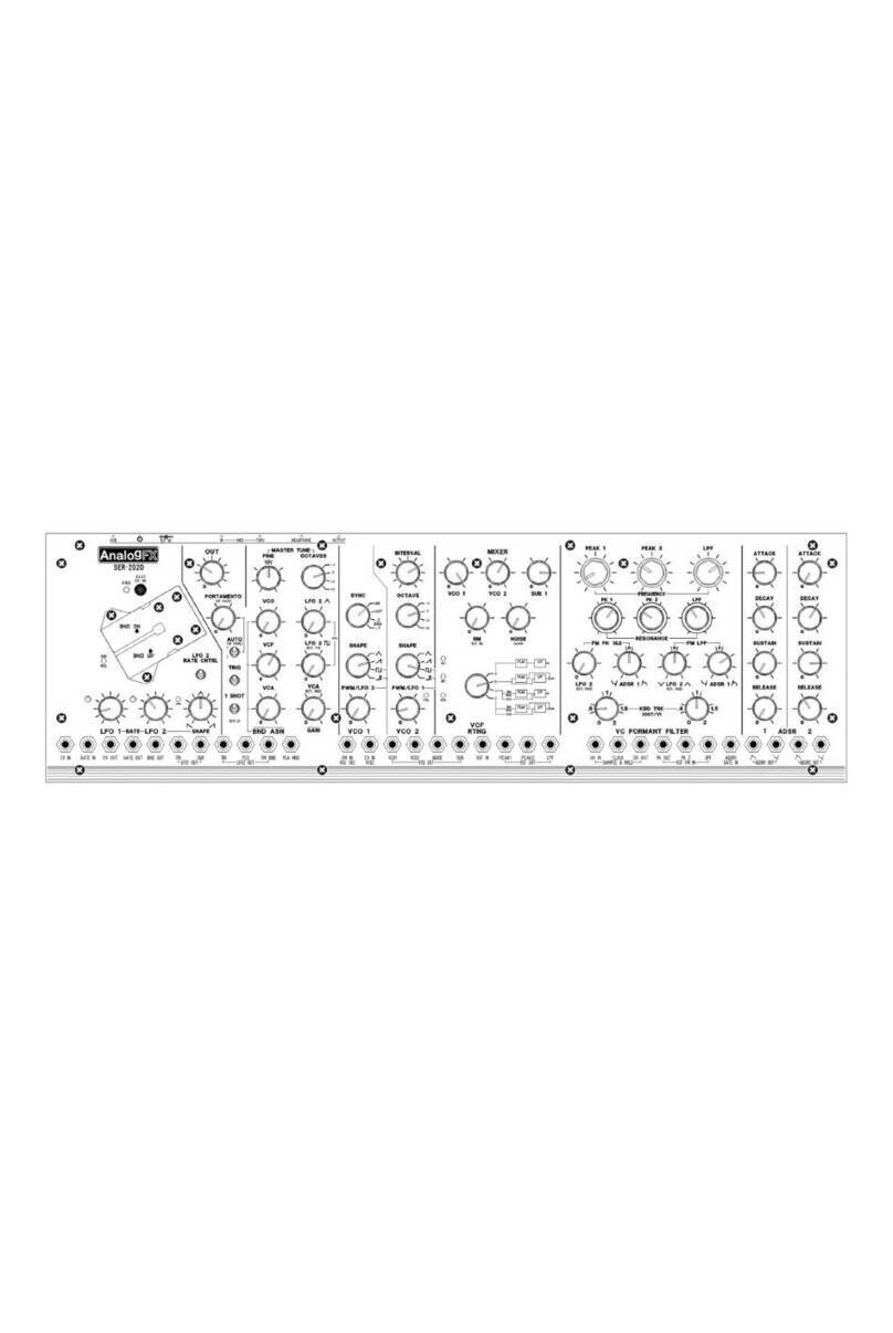 AnalogFX SER-2020 user manual