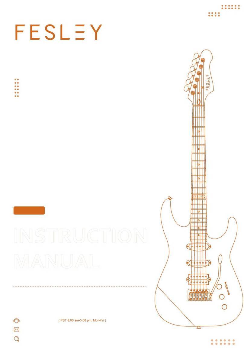 FESLEY FST400M instruction manual