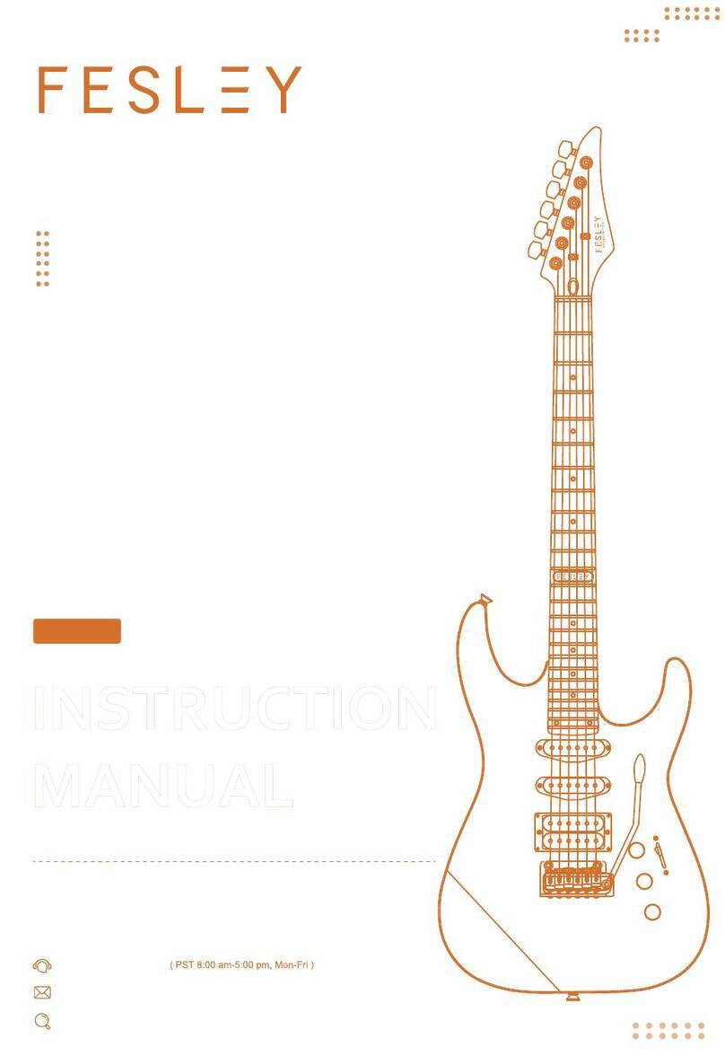 FESLEY FDK800 instruction manual
