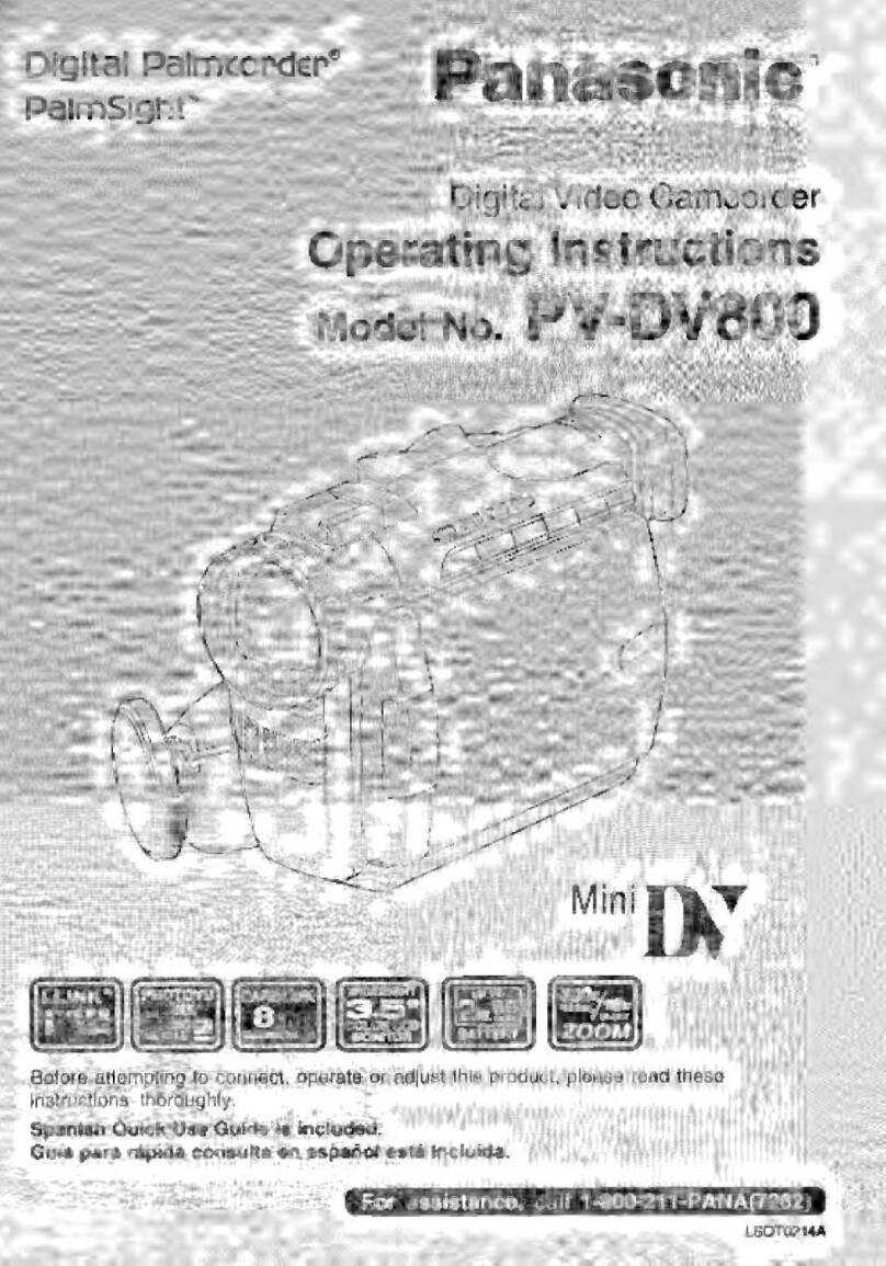 Panasonic Palmcorder PalmSight PV-DV800 User manual