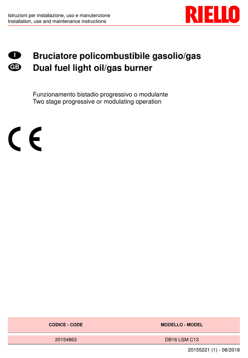 Riello DB16 LSM C13 Quick start guide