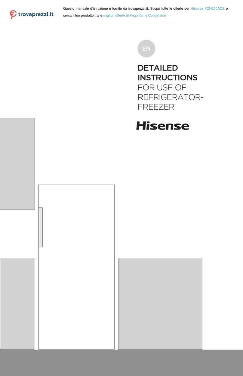 Hisense FCN300ACE Operating and maintenance manual