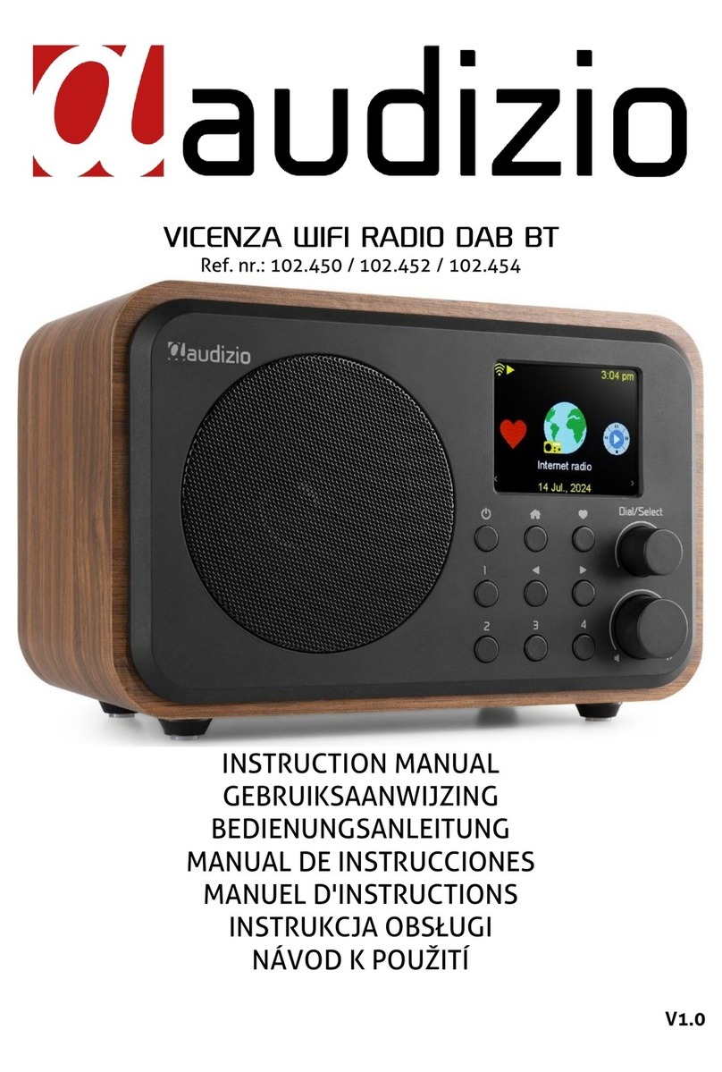 Audizio VICENZA User manual