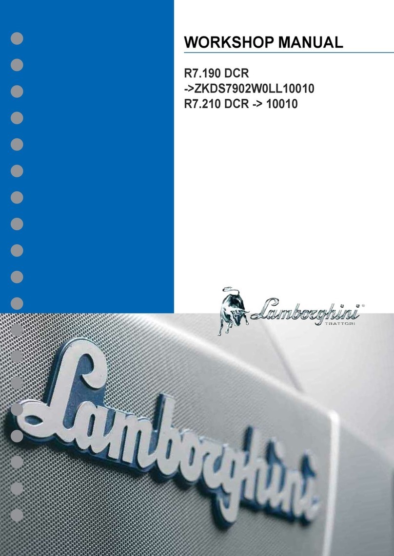 LAMBORGHINI R7.190 DCR Workshop manual