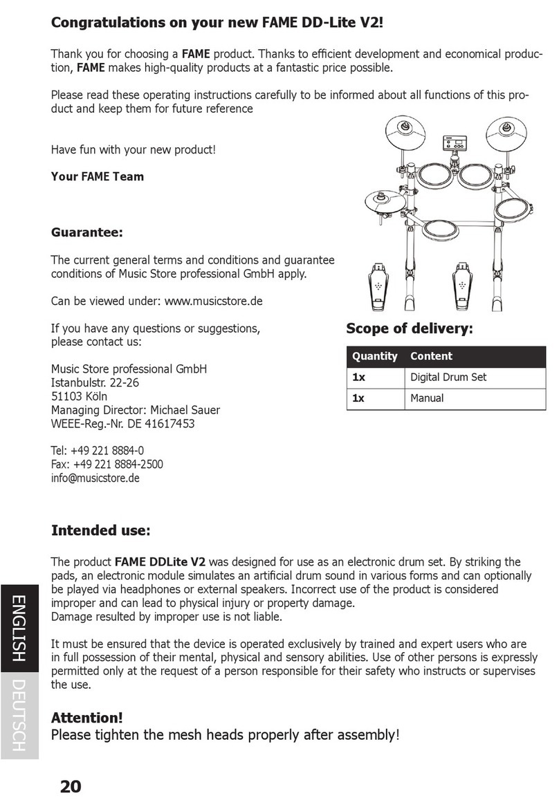 FAME DD-Lite V2 manual