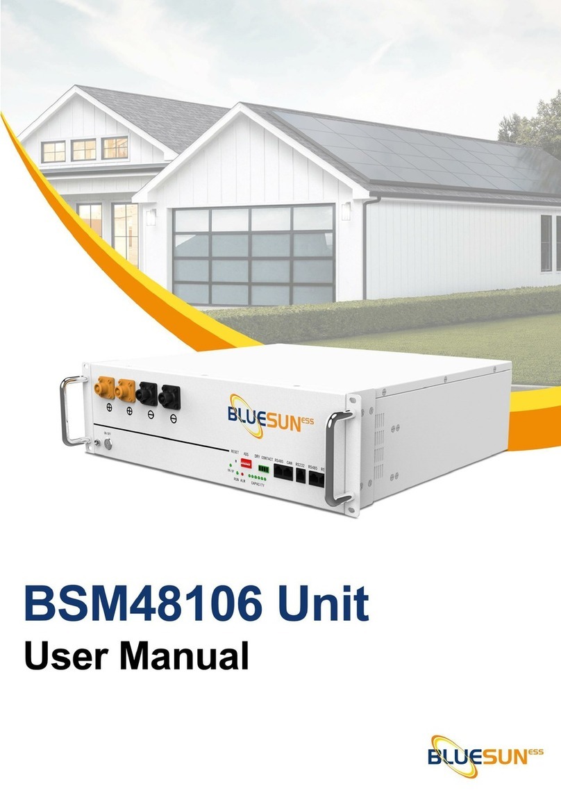 BlueSun BSM48106 user manual