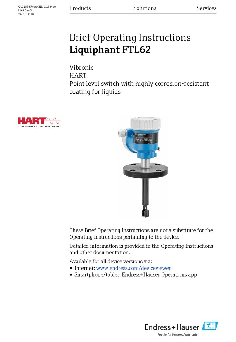 Endress+Hauser Liquiphant FTL62 Technical specifications