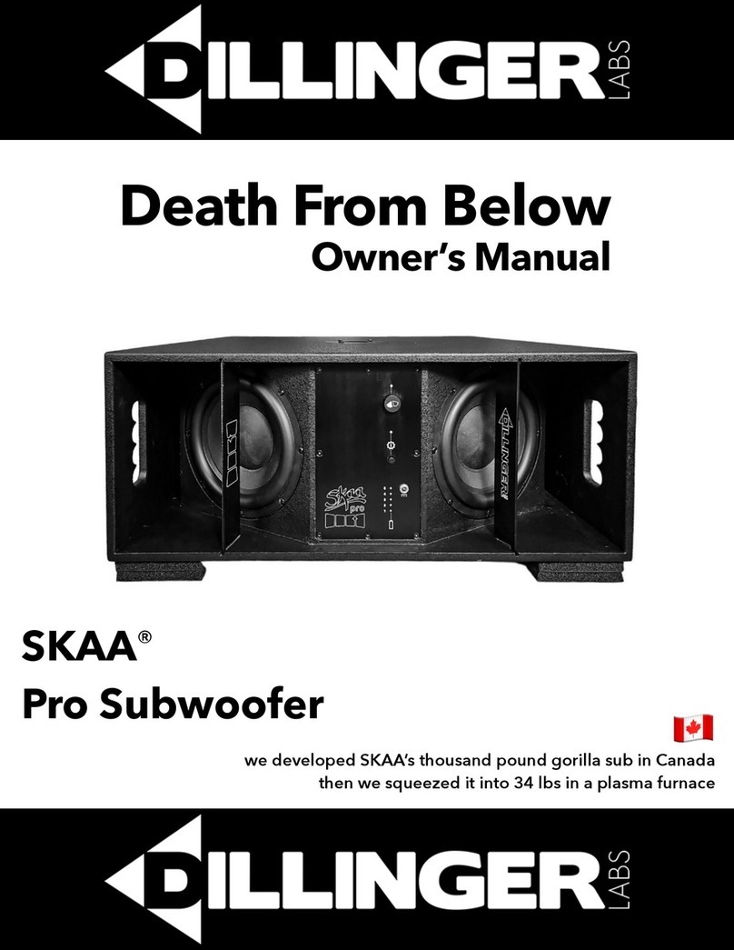 Dillinger Labs SKAA Death From Below owner's manual