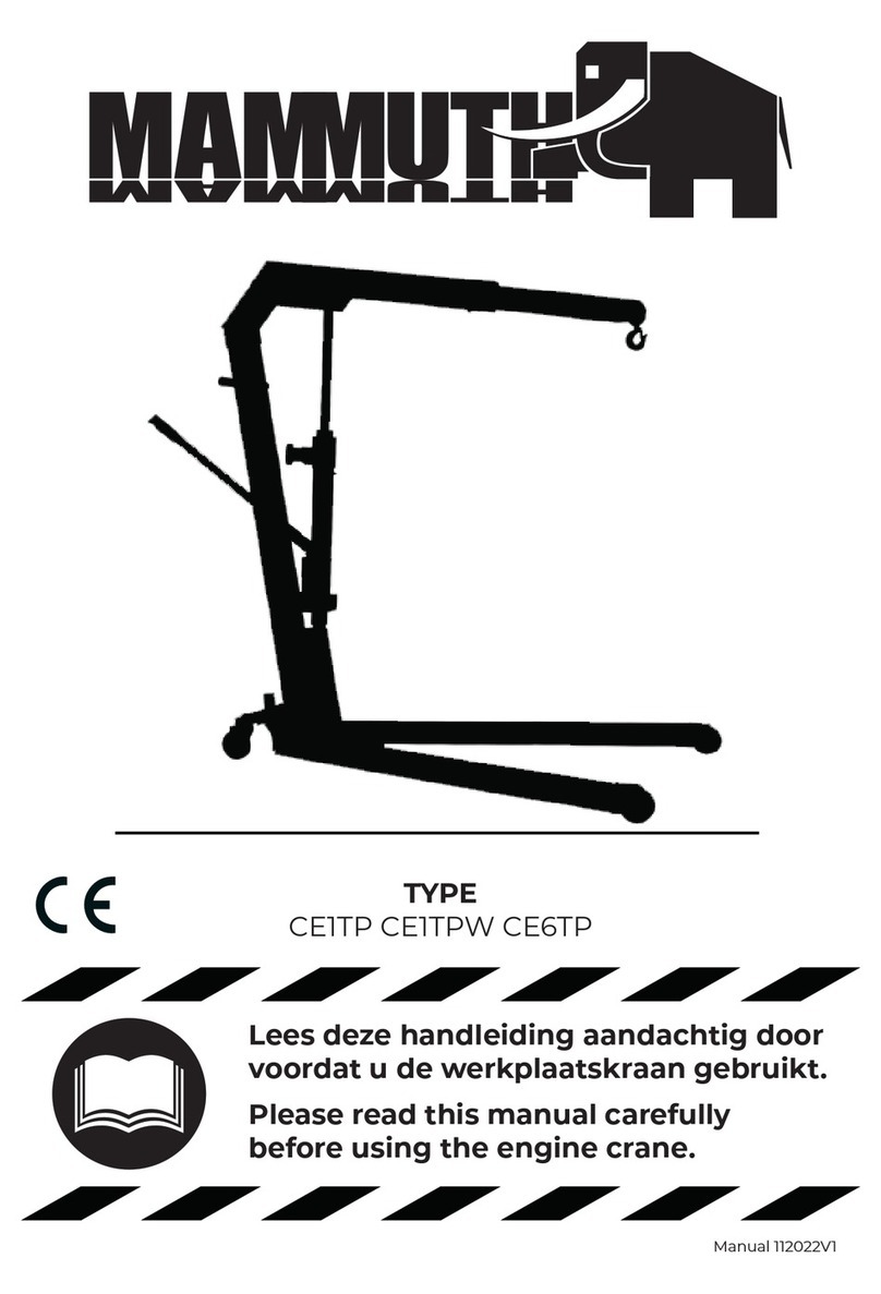Mammuth CE1TP user manual