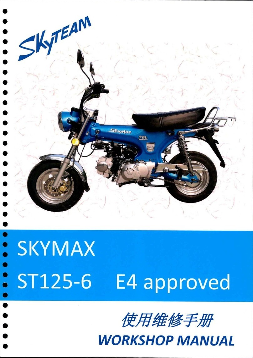 Skyteam SKYMAX ST126-6 Workshop manual