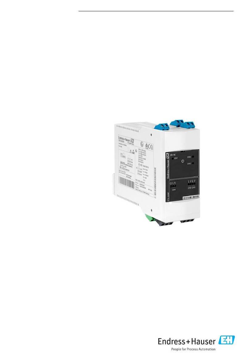 Endress+Hauser Nivotester FTL325P-H3A3 Technical specifications