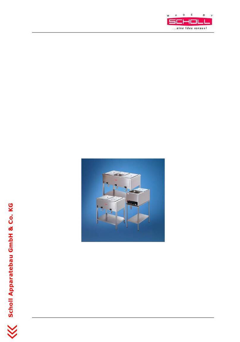 Scholl 3010 UA Instructions for use