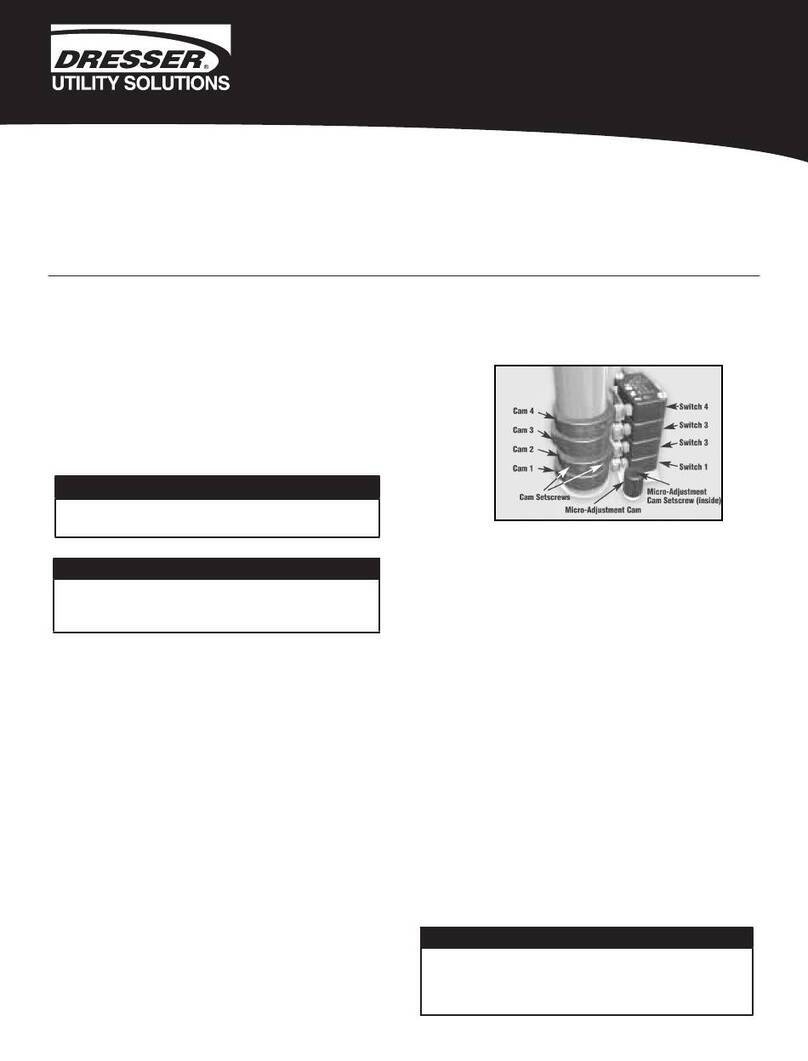 Dresser RCS Sure 100 installation manual