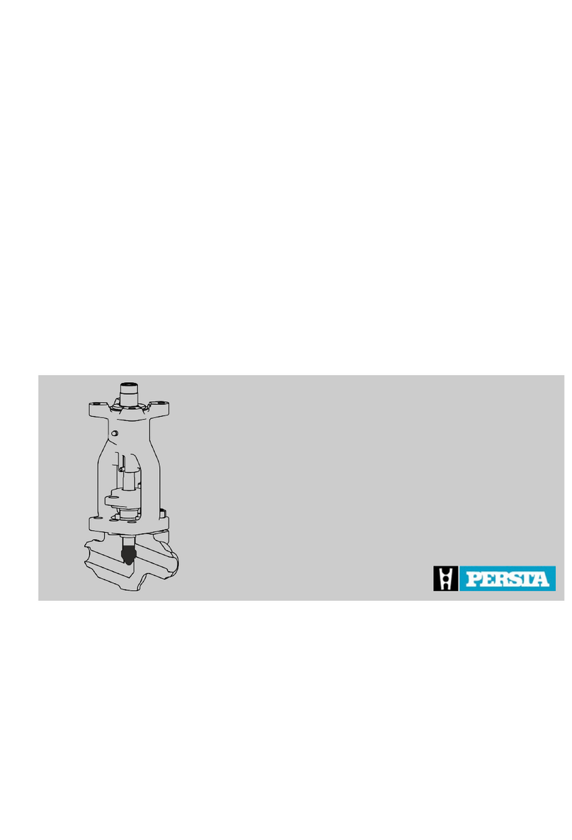 PERSTA HD91 User manual