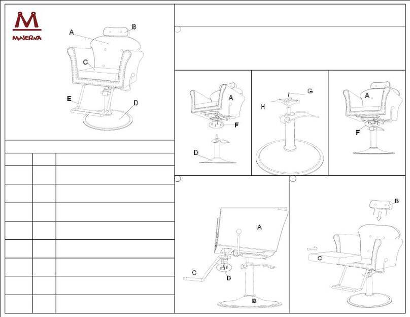 Minerva AV-6010 Assembly instructions