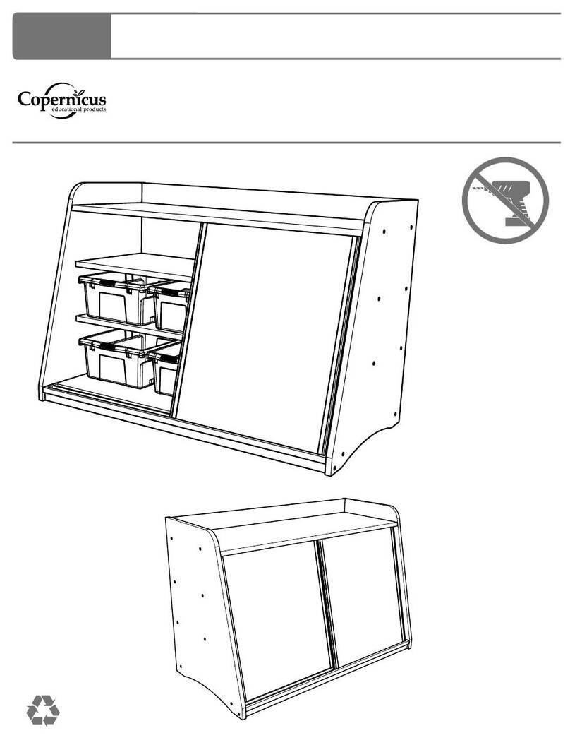 Copernicus BWS1 User manual