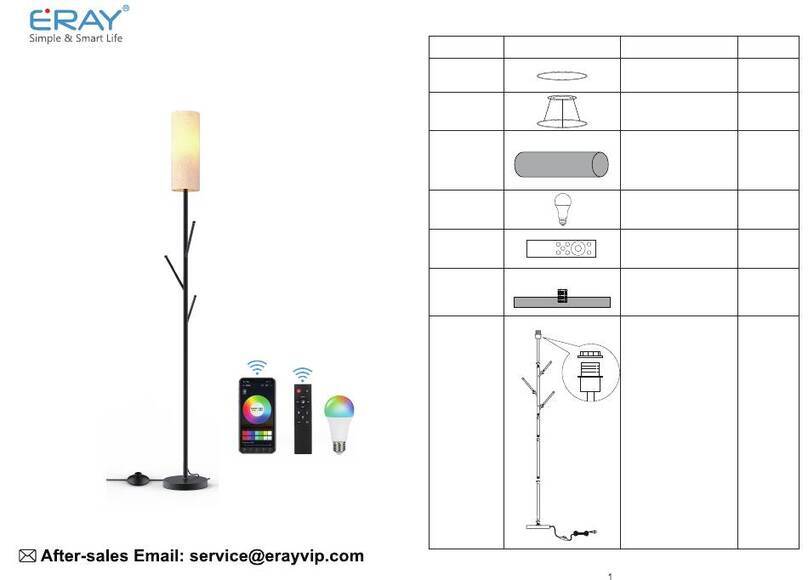 ERAY FL2045 manual