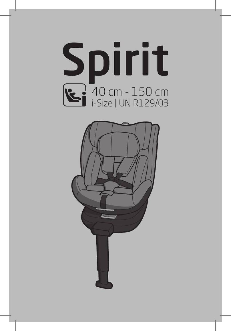 Teamtex Spirit User manual