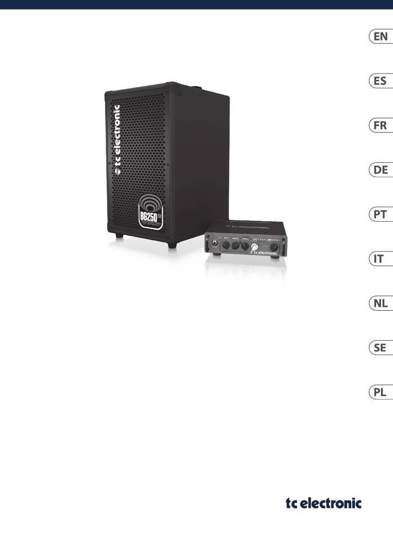 TC Electronic BG250-208 quick start guide