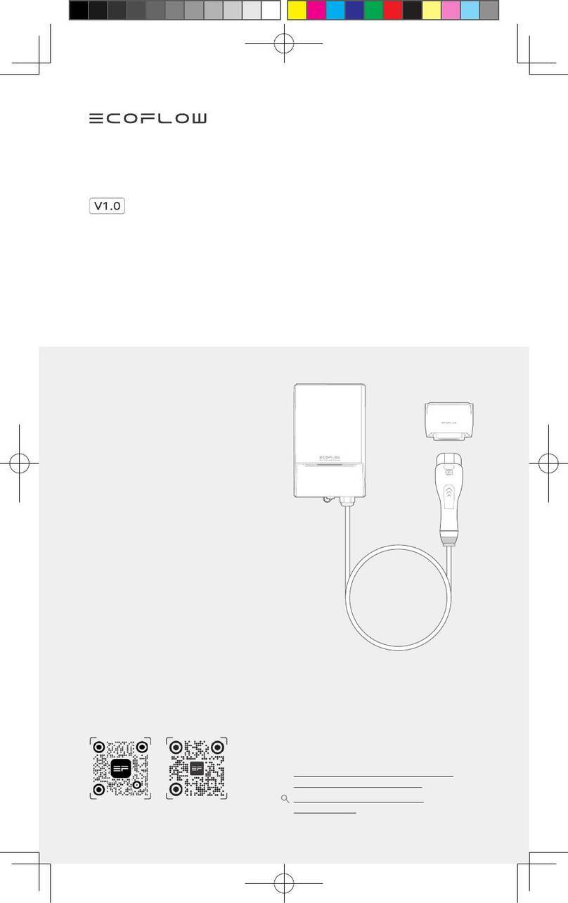 EcoFlow PowerPulse installation guide