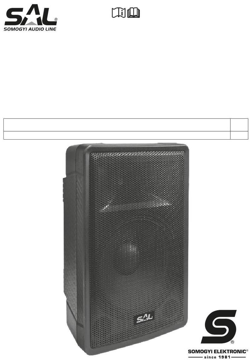 SAL PAX 42BT instruction manual