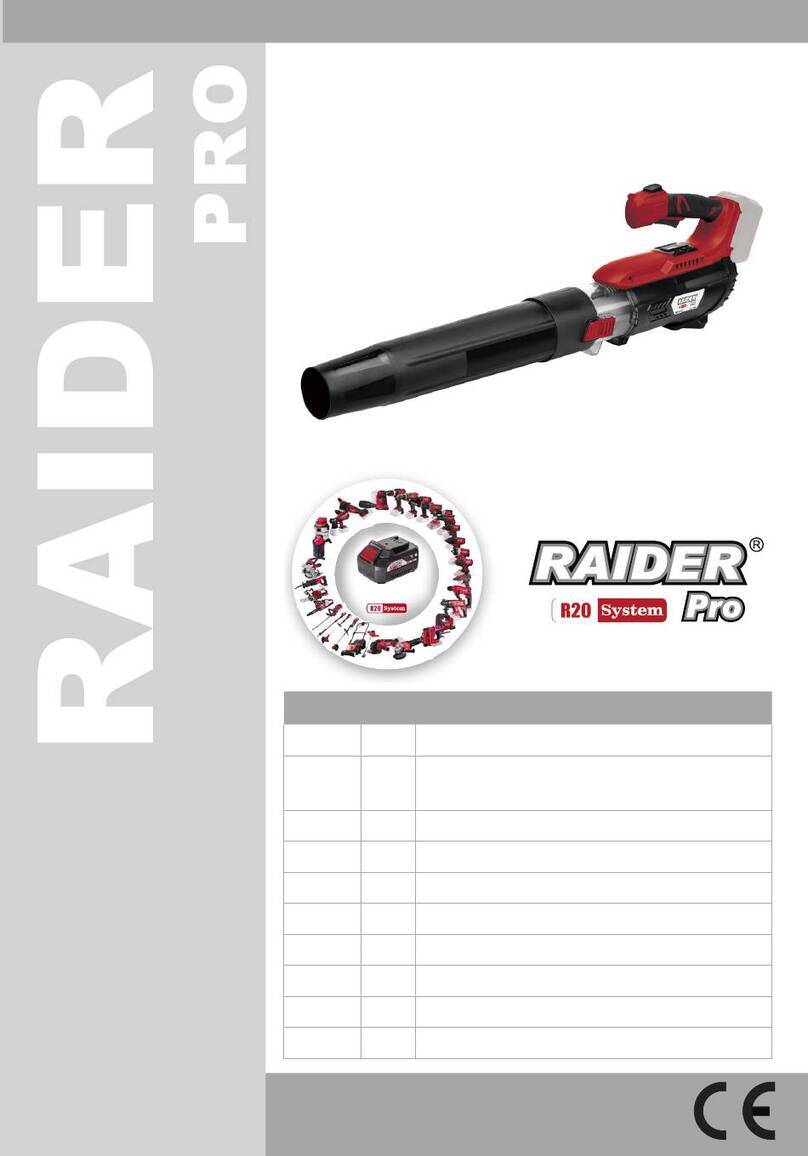Raider RDP-BL20 solo user manual