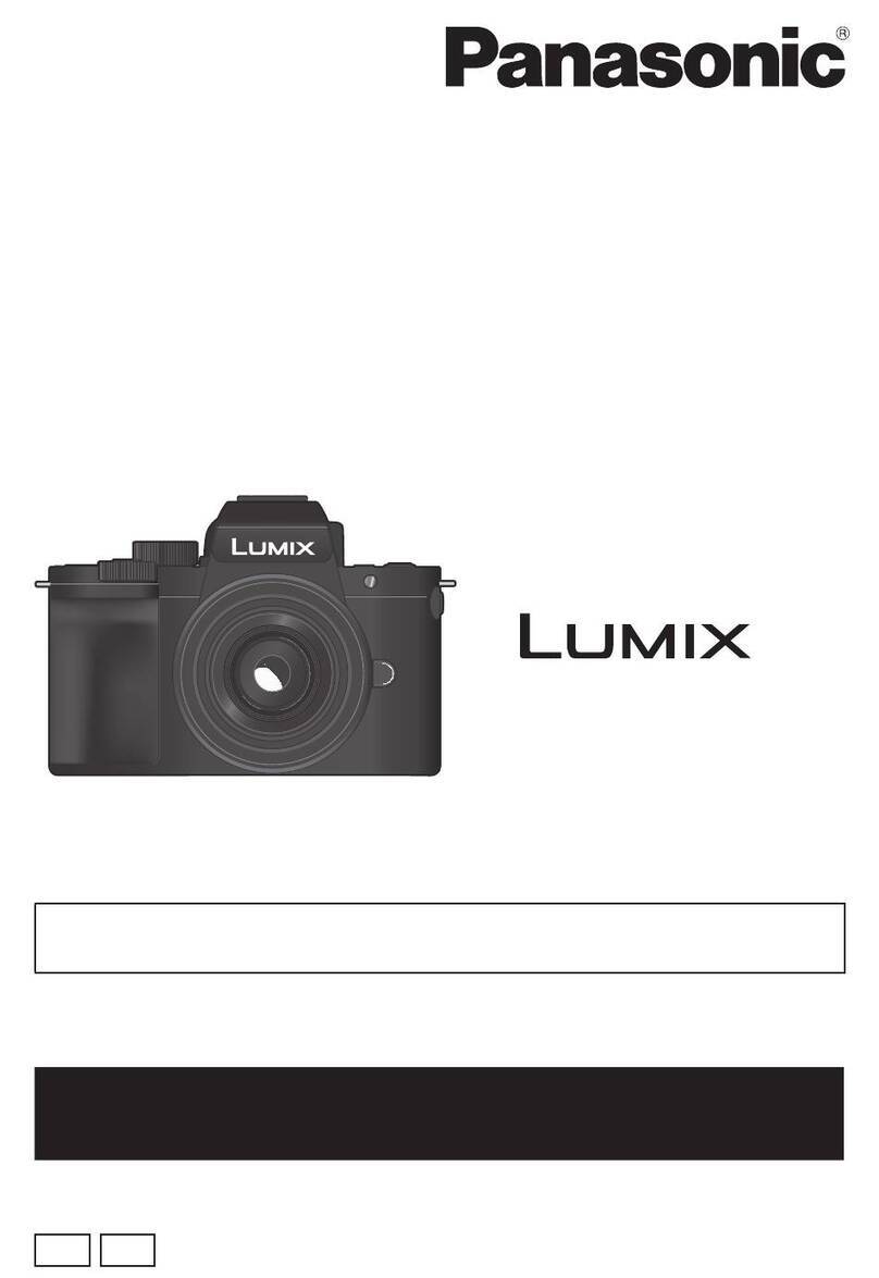 Panasonic LUMIX DC-G100D User manual