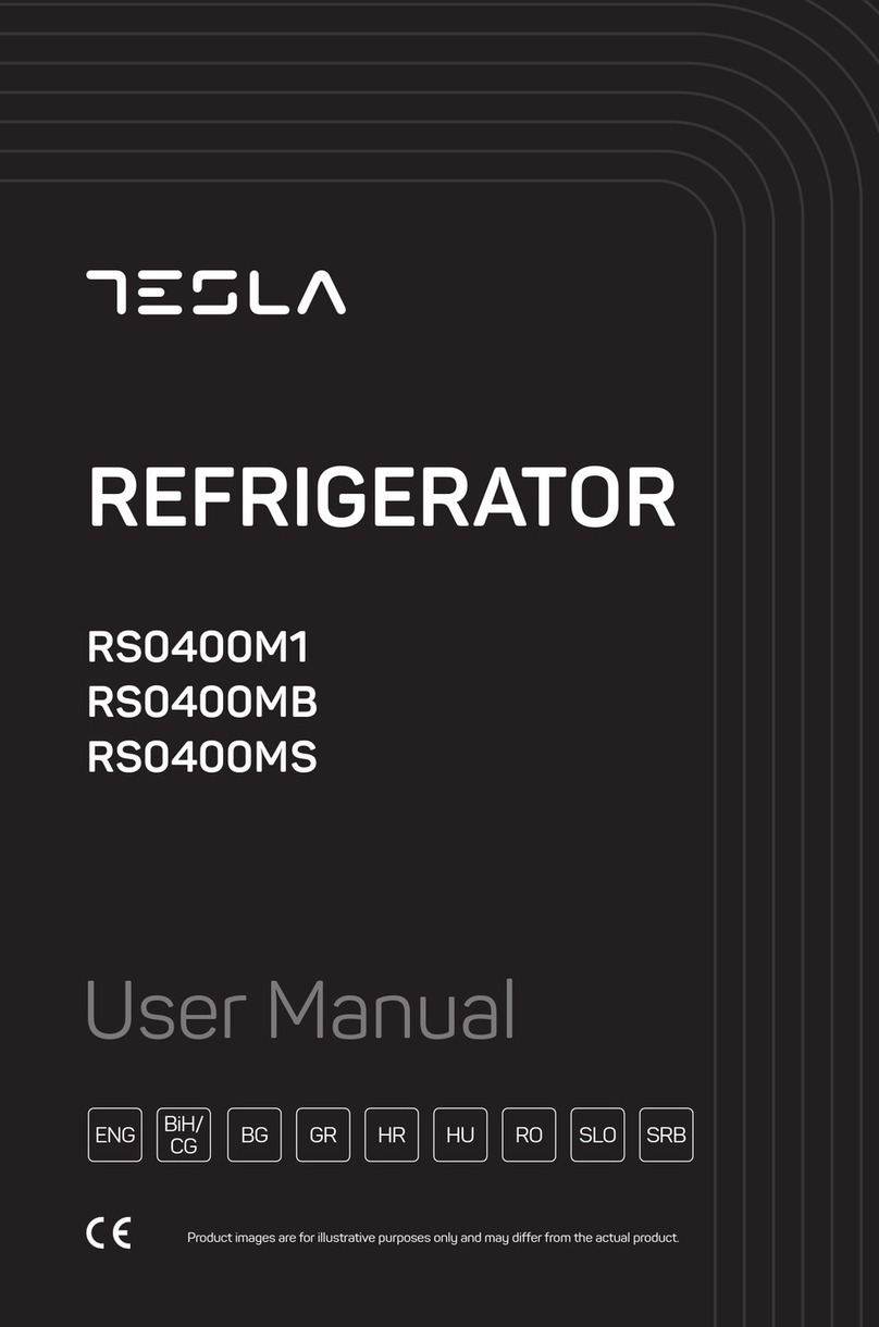 Tesla RS0400MB user manual