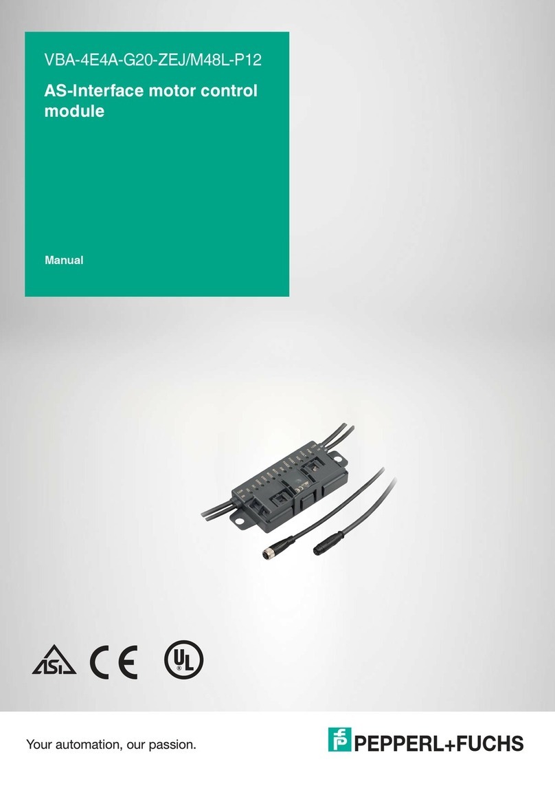 Pepperl+Fuchs VBA-4E4A-G20-ZEJ/M48L-P12 User manual Pepperl+Fuchs VBA-4E4A-G20-ZEJ/M48L-P12 User manual