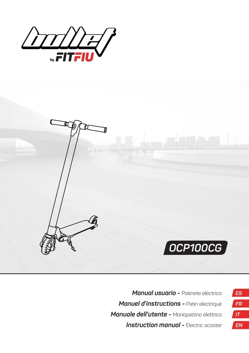 Fitfiu bullet OCP100CG User manual