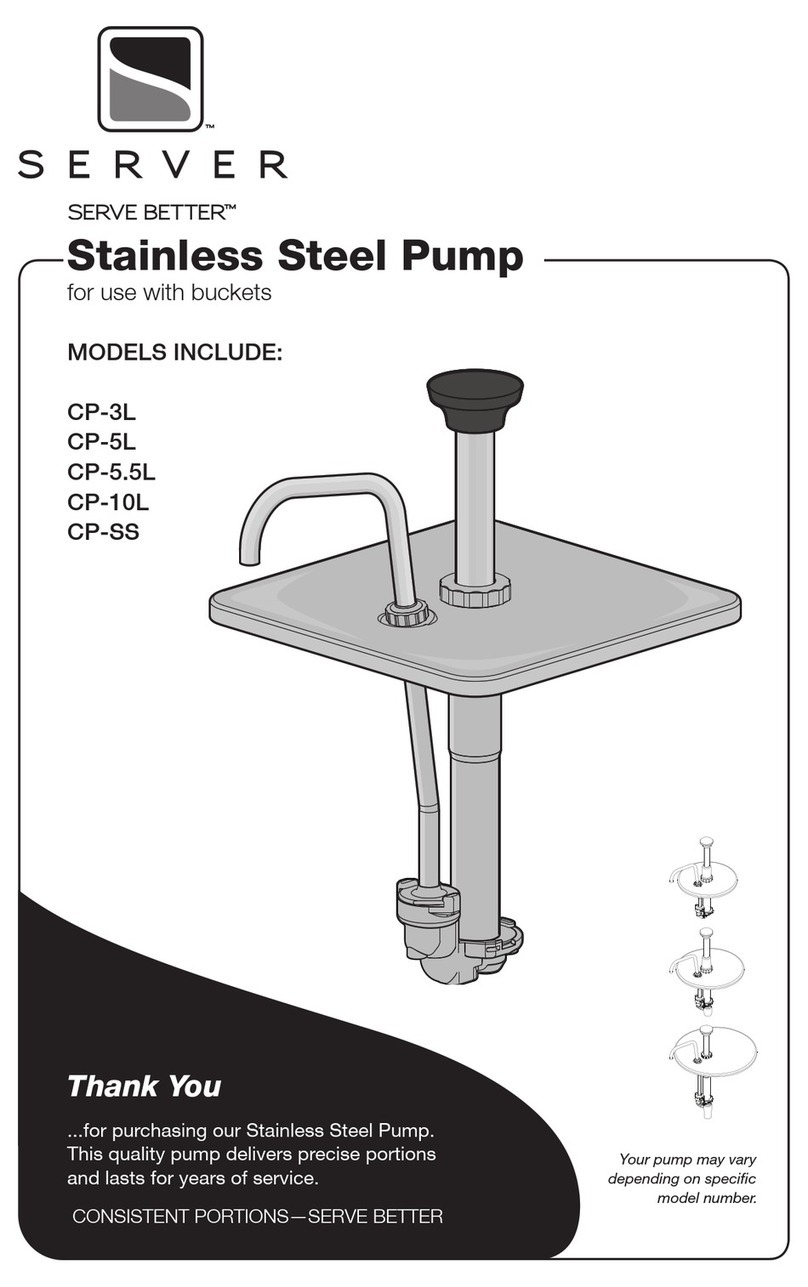 Server CP-3L User manual