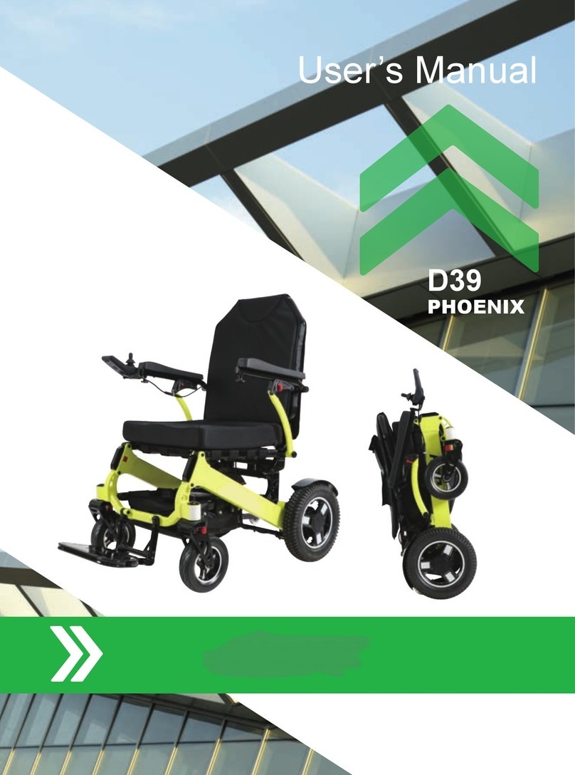 GILANI ENGINEERING D39 Phoenix User manual GILANI ENGINEERING D39 Phoenix User manual
