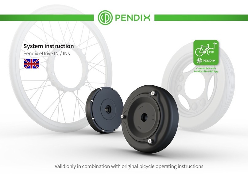 Pendix eDrive IN System Instruction