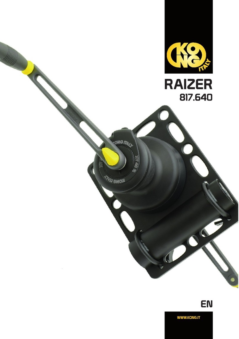 Kong RAIZER manual
